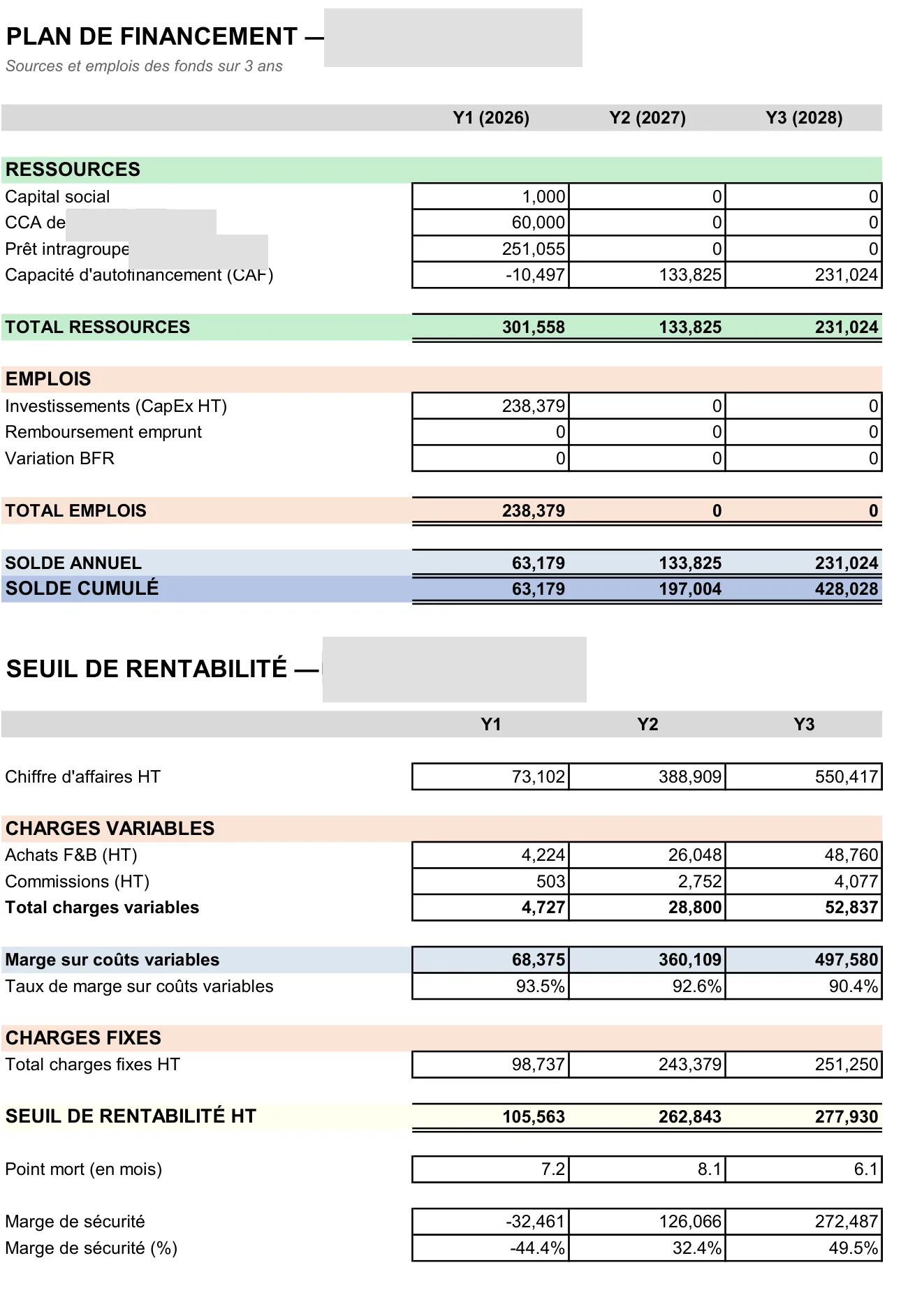 Financial forecast — redacted sample page